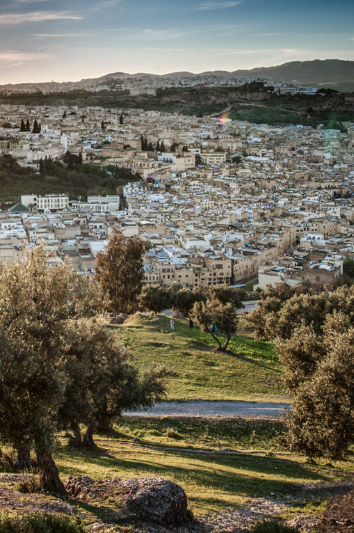 Moroccan Travelers, Fes